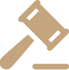 IP Litigation and Enforcement