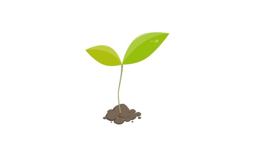 THE APPLICABILITY OF INTELLECTUAL PROPERTY RIGHTS ON LIVING BEINGS