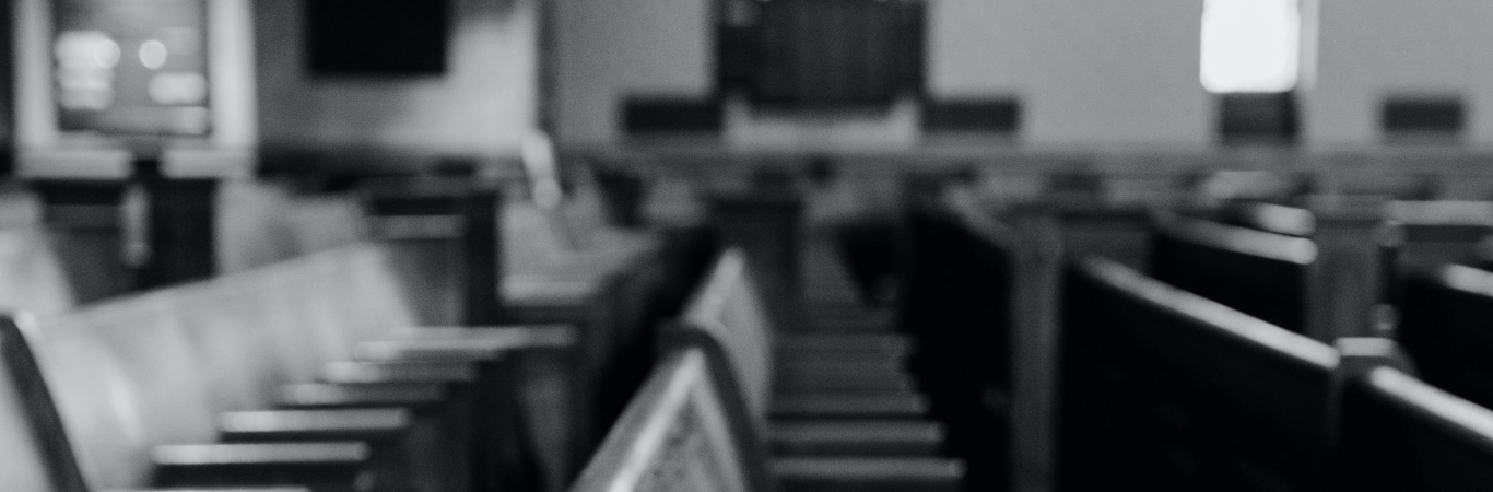 IP Litigation and Enforcement